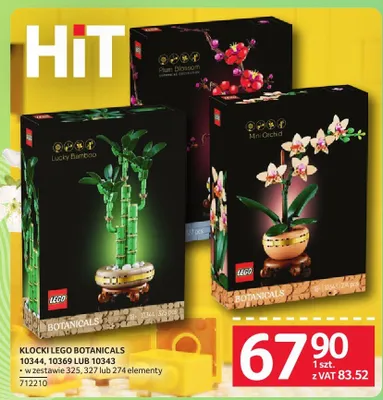 Klocki LEGO Botanicals 10343 promocja w Selgros