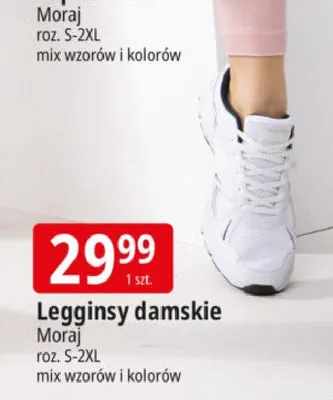Legginsy damskie Moraj roz. S-2XL mix kolorów promocja w Leclerc