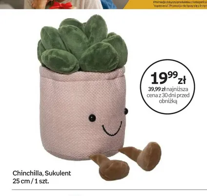 Maskotka Chinchilla Sukulent 25cm promocja w Empik