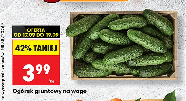 Ogórki gruntowe promocja w Biedronka