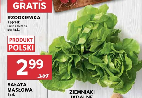 Sałata masłowa promocja w Stokrotka