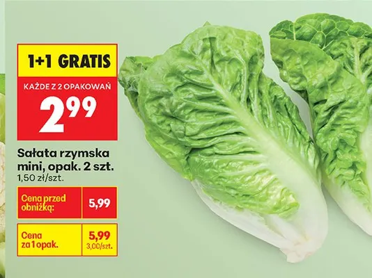 Sałata rzymska mini hiszpania promocja w Biedronka