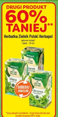 Herbatka Zielnik Polski Herbapol wybrane rodzaje promocja w POLOmarket