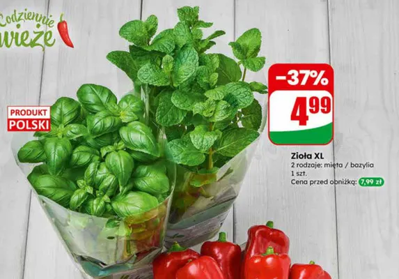 Papryka słodka promocja w Dino