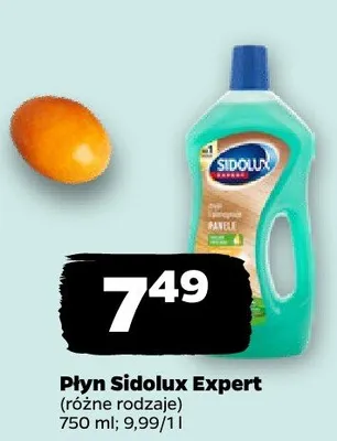 Płyn Expert, różne rodzaje promocja w Netto
