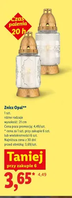 Znicz Opal promocja w Lidl