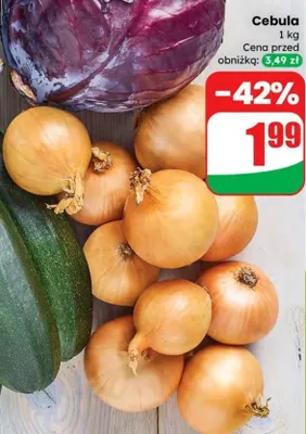 Cebula promocja w Dino
