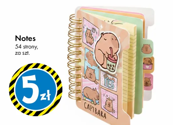 Notes 54 strony promocja w Tedi