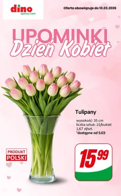 Tulipany bukiet - 15 szt., 35 cm promocja w Dino