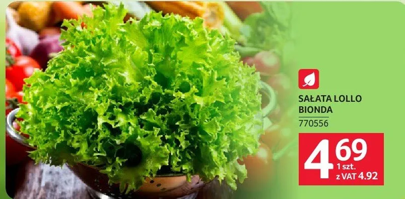 Sałata Lollo Bionda promocja w Selgros