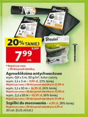 Szpilki do mocowania Bradas promocja w Auchan