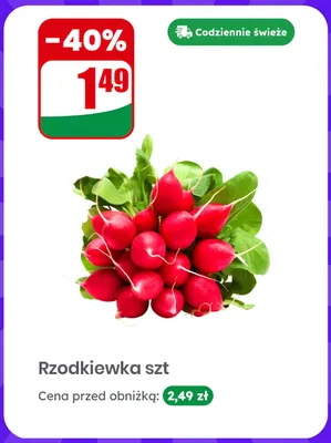 Rzodkiewka promocja w Dino