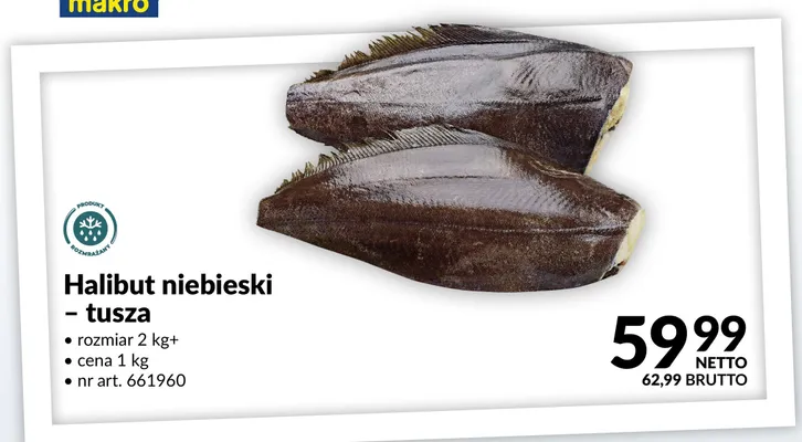 Halibut niebieski tusza promocja w Makro