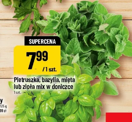 Pietruszka w doniczce promocja w POLOmarket