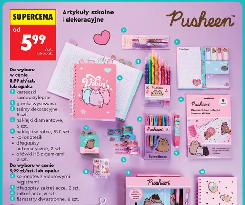 Kołonotes z kolorowymi registrami Pusheen promocja w Biedronka