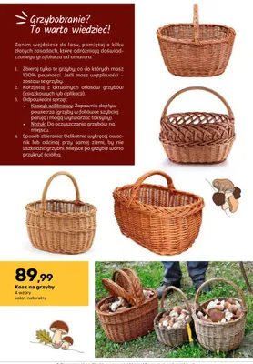 Kosz na grzyby promocja w Bricomarche