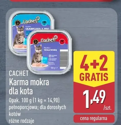Karma mokra dla kota Cachet z wołowiną promocja w Aldi
