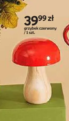 Grzybek czerwony Hello Autumn promocja w Empik