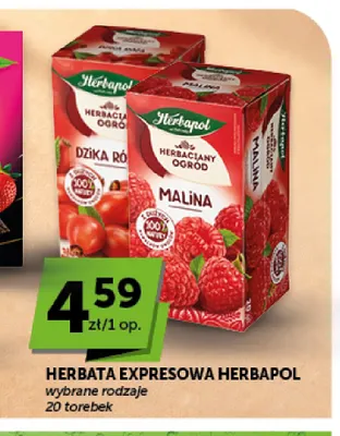 Herbata ekspresowa Herbapol Dzika Róża promocja w ABC