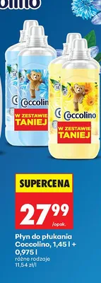 Płyn do płukania różne rodzaje promocja w Biedronka