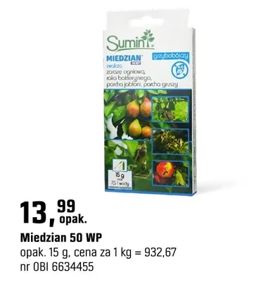 Miedzian 50 WP promocja w OBI