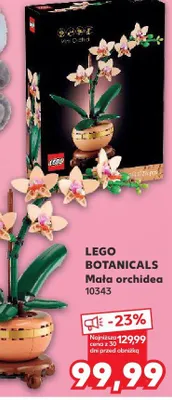 Klocki Mała orchidea 10343 promocja w Kaufland