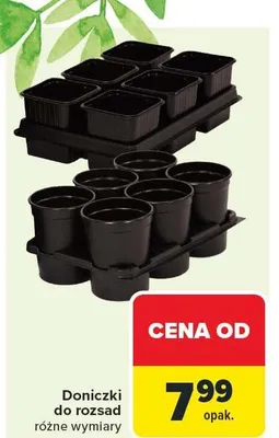 Doniczki do rozsad promocja w Carrefour