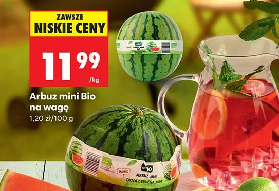 Arbuz mini Bio Go Bio promocja w Biedronka