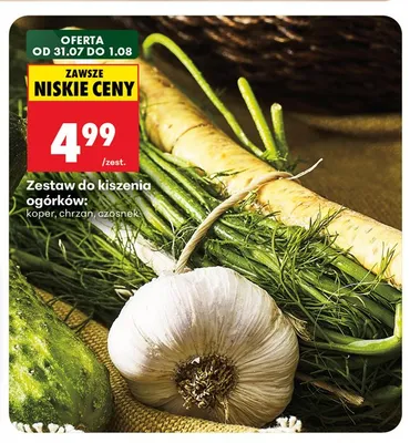 Zestaw do kiszenia ogórków promocja w Biedronka