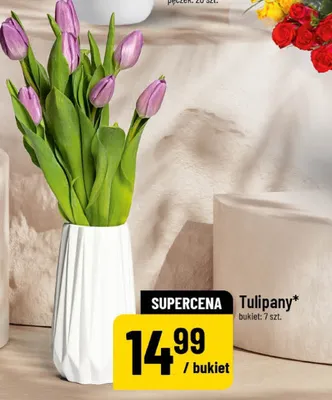Tulipany promocja w POLOmarket