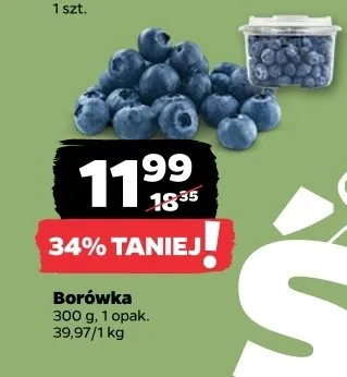 Borówka promocja w Netto