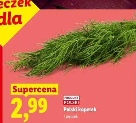 Koperek polski promocja w Lidl