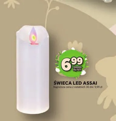 Świeca LED Assai promocja w Stokrotka