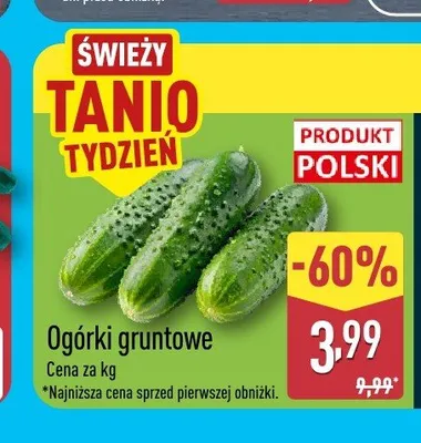 Ogórki gruntowe promocja w Aldi