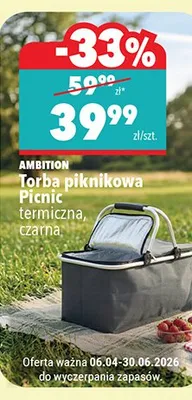 Torba Picnic termiczna promocja w Biedronka