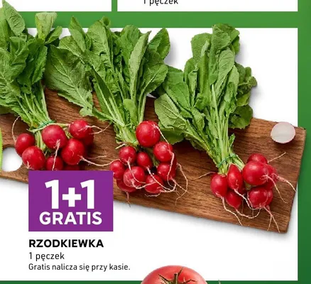 Rzodkiewka promocja w Stokrotka
