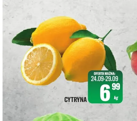 Cytryny promocja w Tomi Markt