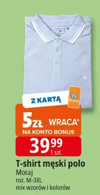 T-shirt męski polo promocja w Leclerc