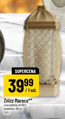 Znicz Maroco promocja w POLOmarket