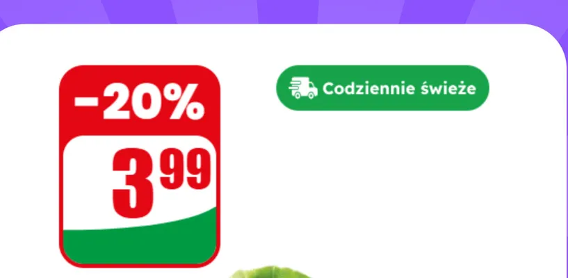 Sałata masłowa promocja w Dino