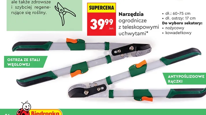 Narzędzia ogrodnicze z teleskopowymi uchwytami promocja w Biedronka