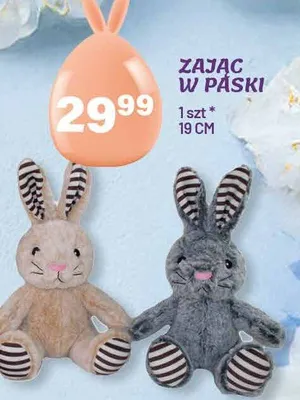 Zając w paski promocja w Arhelan