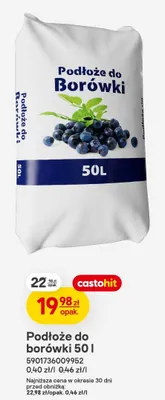 Podłoże do borówki promocja w Castorama