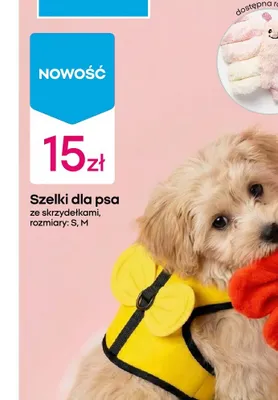 Szelki ze smyczą dla psa ze skrzydełkami promocja w Pepco