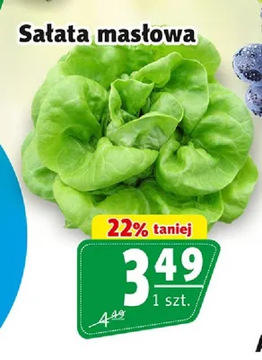 Sałata masłowa promocja w Prim Market