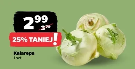 Kalarepa promocja w Netto