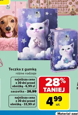 Teczka z gumką Cleo & Frank promocja w Carrefour
