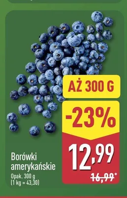 Borówki amerykańskie promocja w Aldi