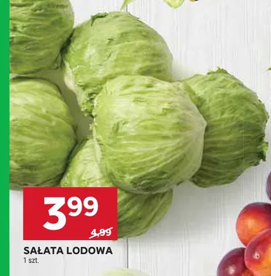 Sałata lodowa promocja w Stokrotka