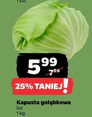 Kapusta gołąbkowa promocja w Netto